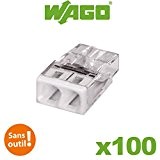 Wago - Pot de 100 mini bornes de connexion automatique 2 entrées S2273