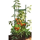 Woodstream Coropration STEZ1 Stake Il Cage Facile Plant de tomate