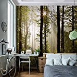 WTD 352 x 250 cm-rUNA papier peint de porte motif forêt papier peint à impression xXL photo p 9010011 mur ...